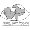 Sleeping cat: Not today!