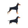 4x4 vs tuning