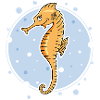 Sea horse