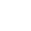 43 Number crown
