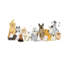 Tierpfleger Tierretter Tierrechte