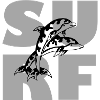 SURF Delfine