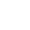 Drone Pilot
