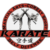 Karate Martial Arts Martial Arts