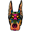Crâne Doberman. Peintre Poison