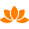 Lotus Flower