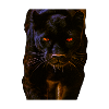 BLACK PANTHER