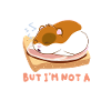 Hamster Schinken Hamsterbacken Essen Fleisch