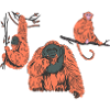 Monkey