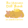 Hamster gnagare människor tror bakad potatis