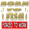 Pêche