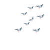 Pigeon Gift Pigeon Shirt
