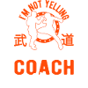 I Don't Scream - MMA Coach