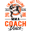 I Don't Scream - MMA Coach
