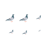 Gift Pigeon Shirt Pigeon
