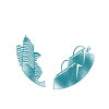 Parkour Free Running Traceur