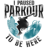 Parkour Free Running Traceur