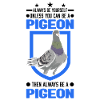 Pigeon Pigeon Fancier City Pigeon