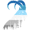 Capricorne