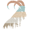 Capricorn