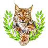 Lynx Wild Cat Freedom