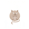 Angry cat