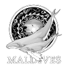 Humpback Whales Maldives