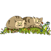 Chats