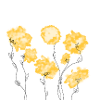 Gelbe Blumen