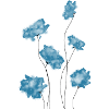 Blaue Blumen