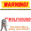 My Wolfhound