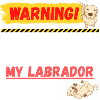 Warning Labrador