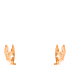coole Hunde Sprüche