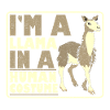 Llama Lover Gift Jeg er en lama i et menneskeligt kostume