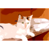 Ich liebe Katzen