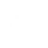 Katze