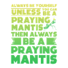 Gottesanbeterin Mantis Fangschrecke