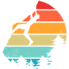 Climbing Bouldering
