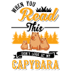 Capybara Wasserschwein Capibara