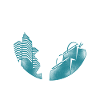Parkour Free Running Traceur