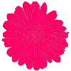 Bluete 3D Magenta
