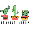 Looking Sharp Cactus Quote