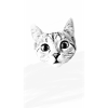 Kitty "mina"