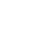 Rottie bernoise