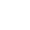Bordeaux Pitbull