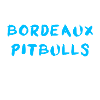 Bordeaux Pitbull