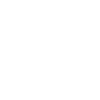 Alaskan Husky Papa