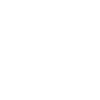 Bich-Poo Dad