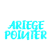 Ariege Pointer