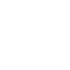 Papa australien Silky Terrier